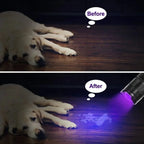 Mini UV LED Flashlight 395nm – Portable Detector Torch