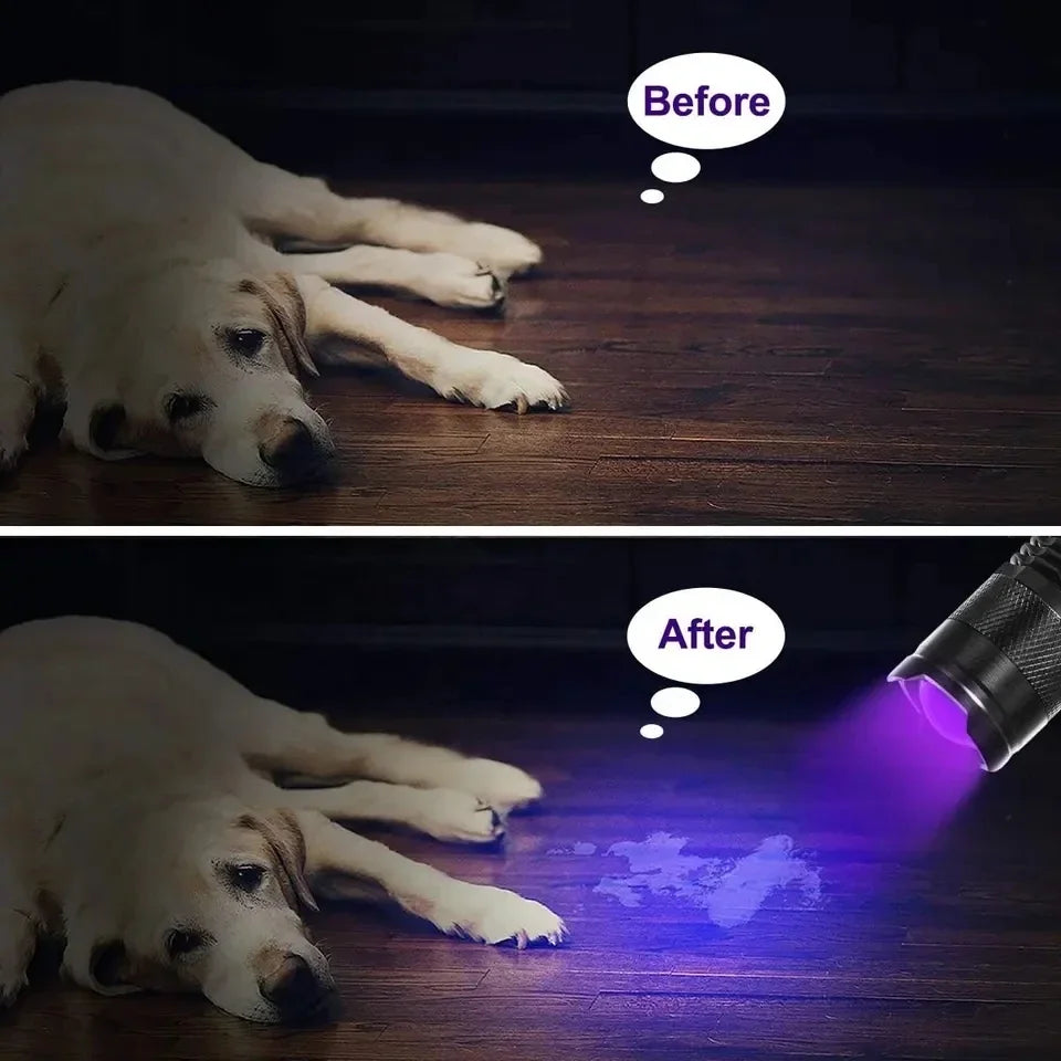 Mini UV LED Flashlight 395nm – Portable Detector Torch