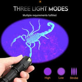 Mini UV LED Flashlight 395nm – Portable Detector Torch